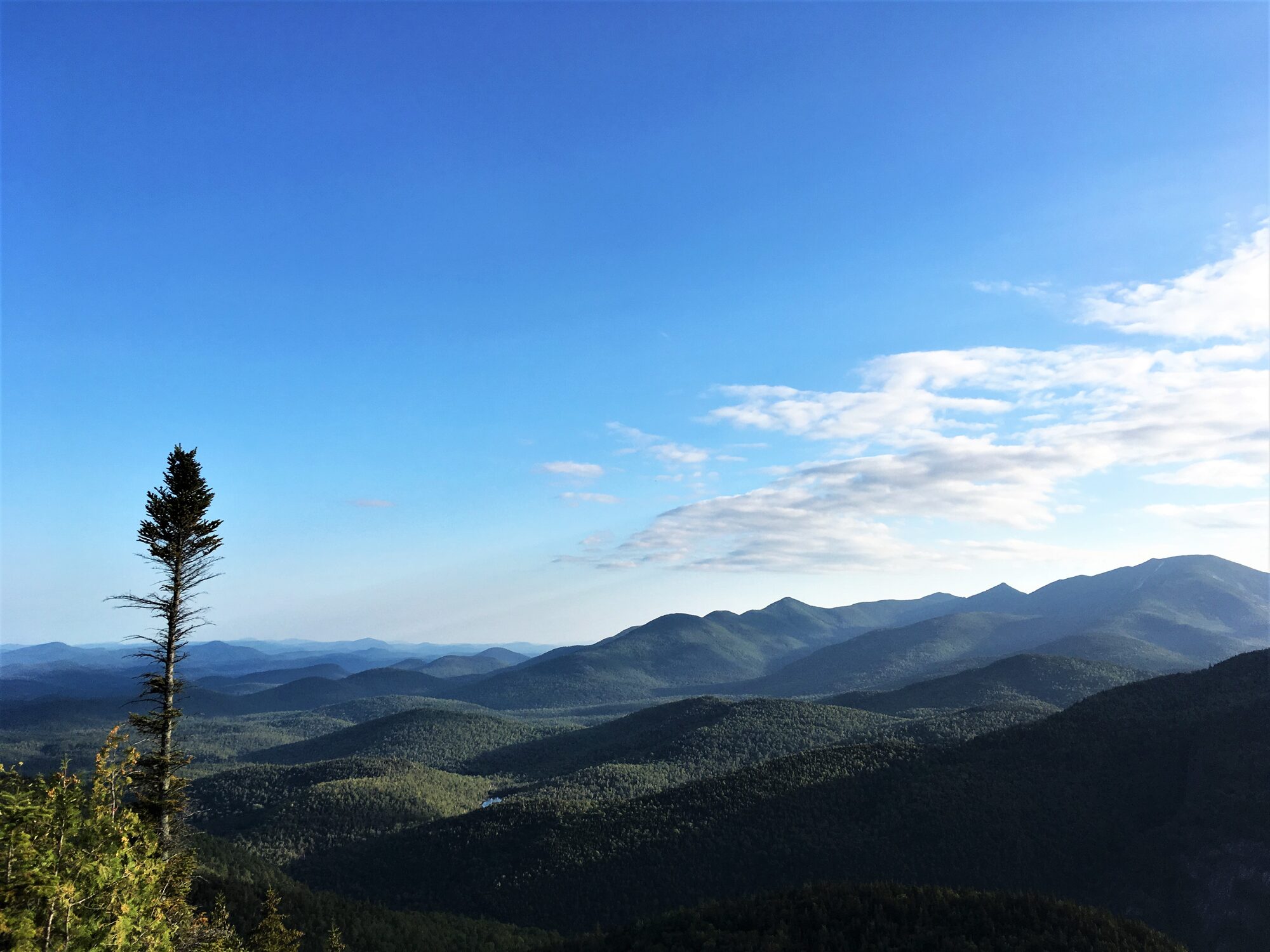 View over forested mountain ridges under a blue sky